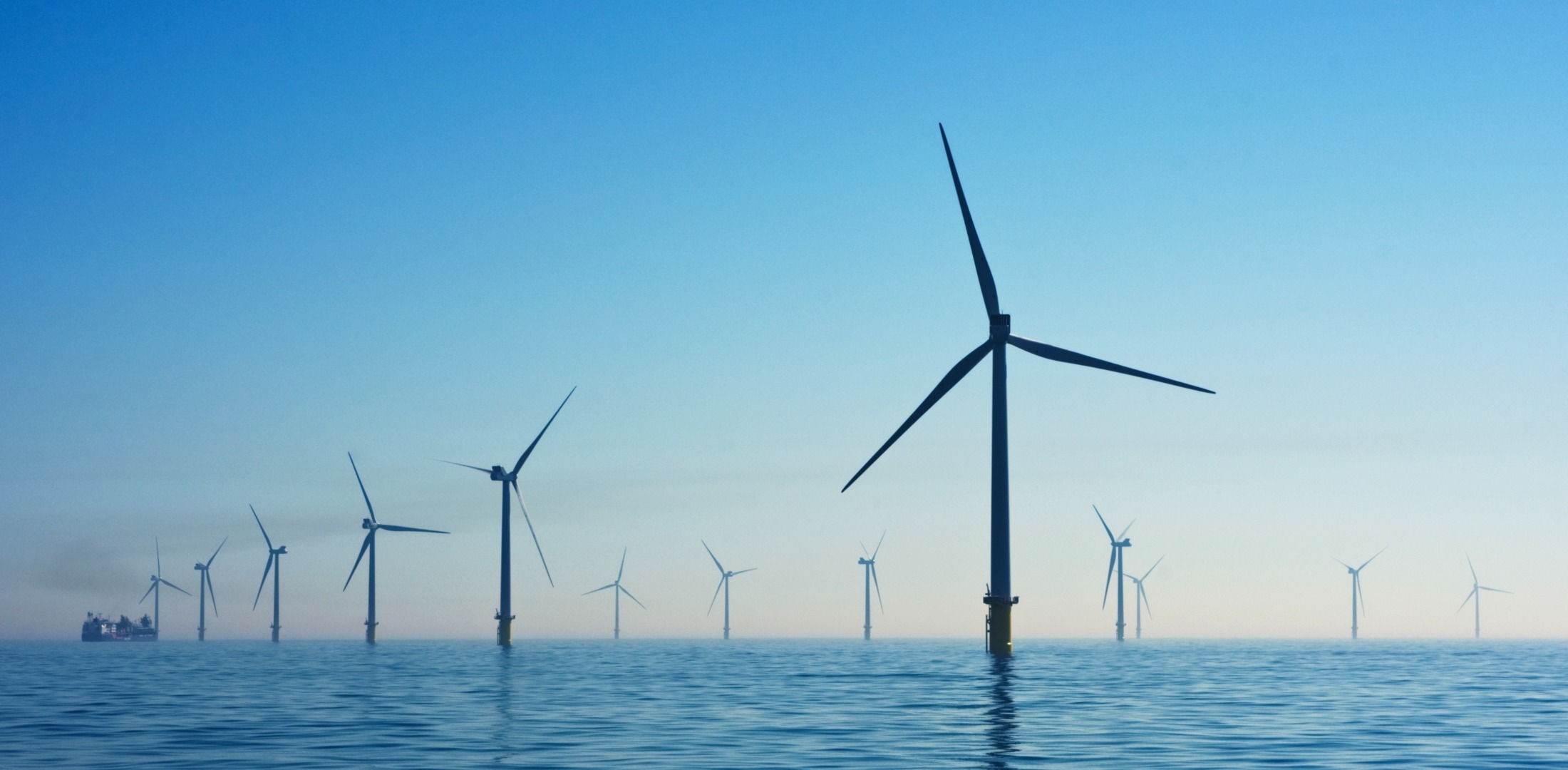 Wind farm in offshore for renewable energy