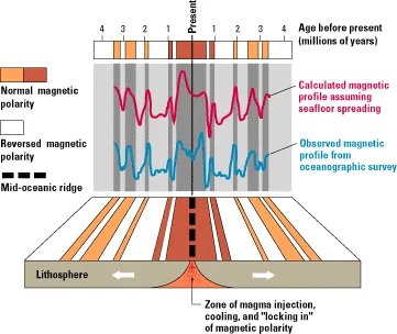 Observed versus calculated magnetic profile across the East Pacific Rise
