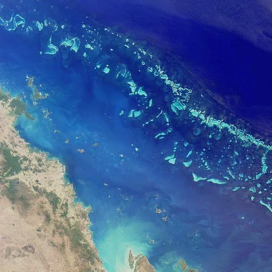 Satellite image of a section of the Great Barrier Reef showing reef structures from orbit