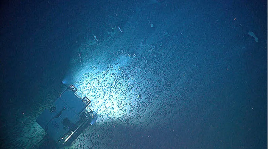 ROV Deep Discoverer traversing an extensive field of ferromanganese nodules on the seafloor