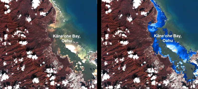 Side-by-side comparison of DigitalGlobe WorldView satellite imagery and the satellite-derived bathymetry estimate produced from it